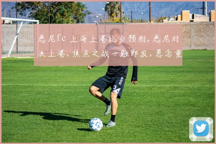 悉尼fc 上海上港比分预测,悉尼对决上港,焦点之战一触即发,悬念重重