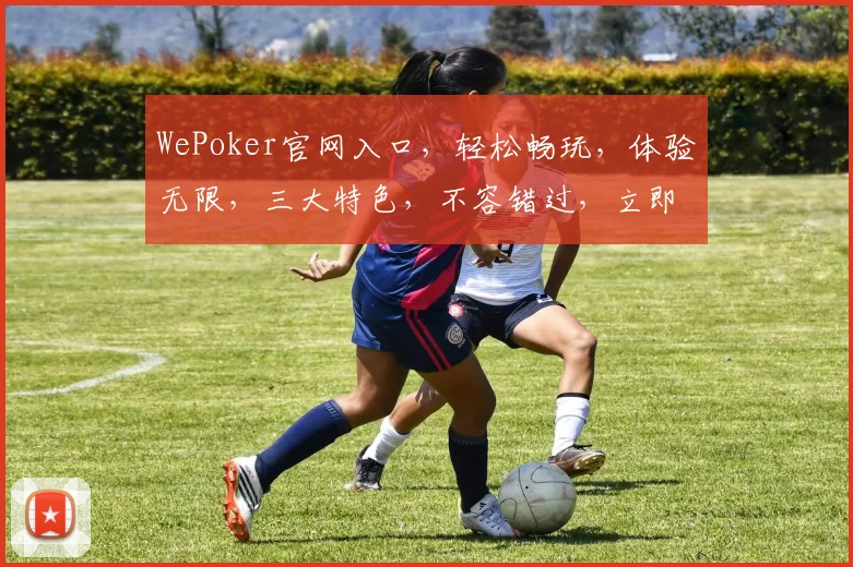 WePoker官网入口，轻松畅玩，体验无限，三大特色，不容错过，立即加入