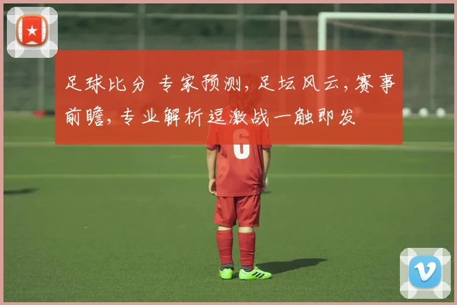 足球比分 专家预测,足坛风云,赛事前瞻,专业解析逗激战一触即发