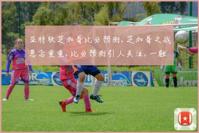 亚特联芝加哥比分预测,芝加哥之战悬念重重,比分预测引人关注,一触即发