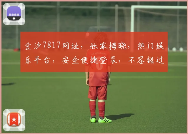 金沙7817网址，独家揭晓，热门娱乐平台，安全便捷登录，不容错过