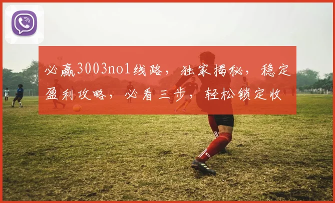 必赢3003no1线路，独家揭秘，稳定盈利攻略，必看三步，轻松锁定收益