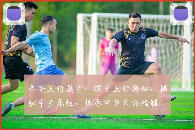 辛字五行属金，探寻五行奥秘，揭秘辛金属性，传承中华文化精髓