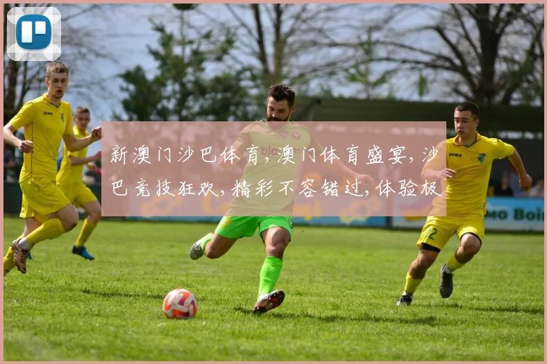 新澳门沙巴体育,澳门体育盛宴,沙巴竞技狂欢,精彩不容错过,体验极限速度